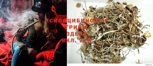 прущие грибы Алексин