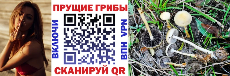Псилоцибиновые грибы мицелий  Орёл 